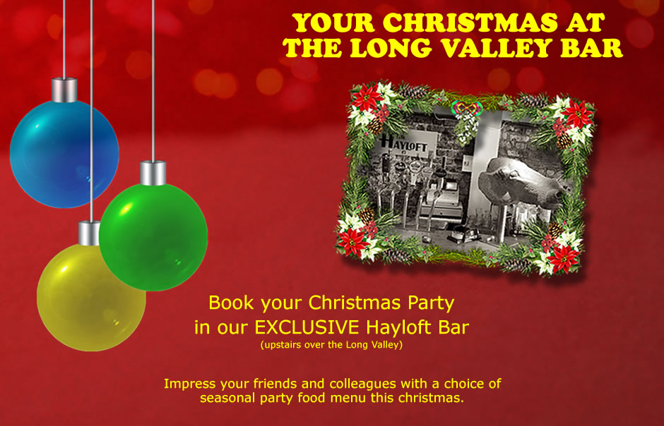 Book your Christmas Party with us